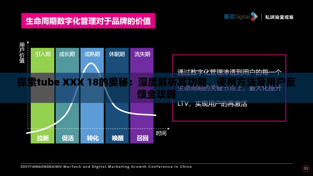 探索tube XXX 18的奥秘：深度解析其功能、使用方法及用户反馈全攻略