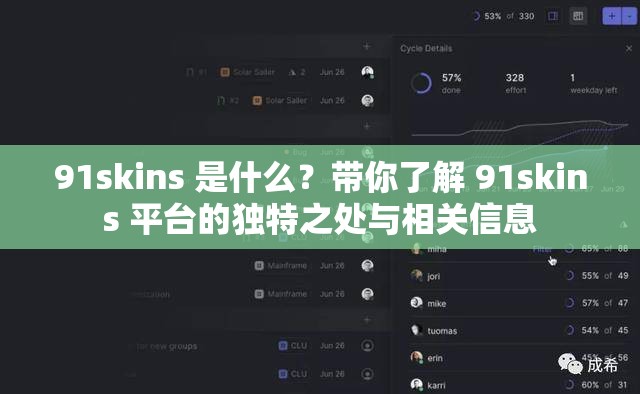 91skins 是什么？带你了解 91skins 平台的独特之处与相关信息