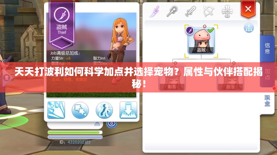 天天打波利如何科学加点并选择宠物？属性与伙伴搭配揭秘！
