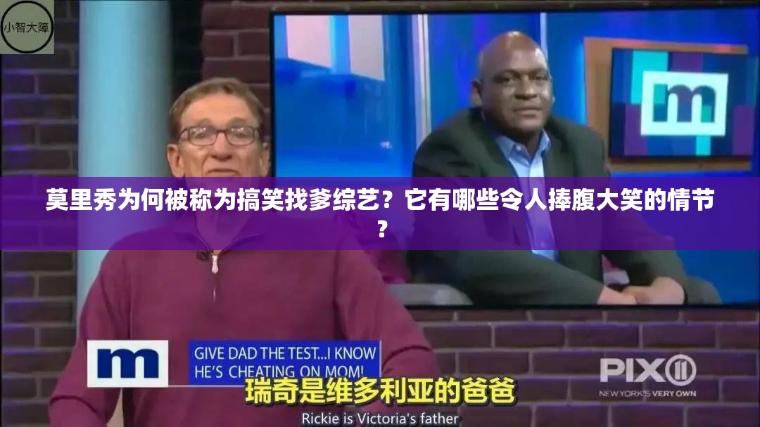 莫里秀为何被称为搞笑找爹综艺？它有哪些令人捧腹大笑的情节？