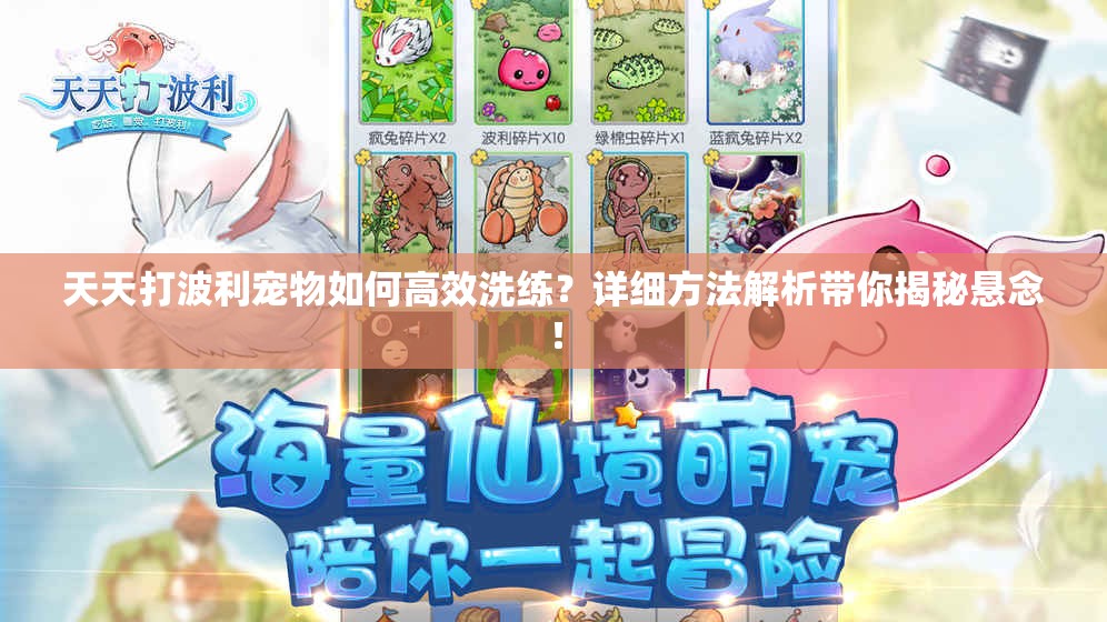 天天打波利宠物如何高效洗练？详细方法解析带你揭秘悬念！