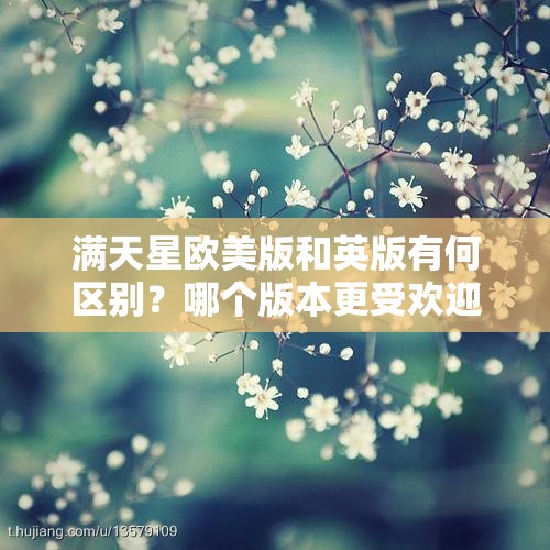 满天星欧美版和英版有何区别？哪个版本更受欢迎？深度解析来啦