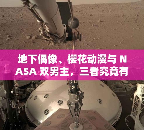 地下偶像、樱花动漫与 NASA 双男主，三者究竟有何神秘关联？地下偶像、樱花动漫中的 NASA 双男主，你了解多少？好奇地下偶像、樱花动漫和 NASA 双男主隐藏着怎样的故事？