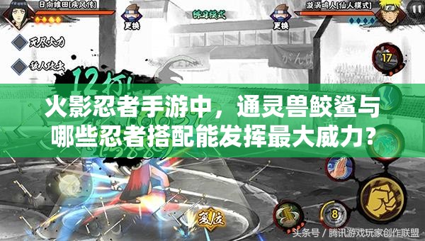 火影忍者手游中，通灵兽鲛鲨与哪些忍者搭配能发挥最大威力？