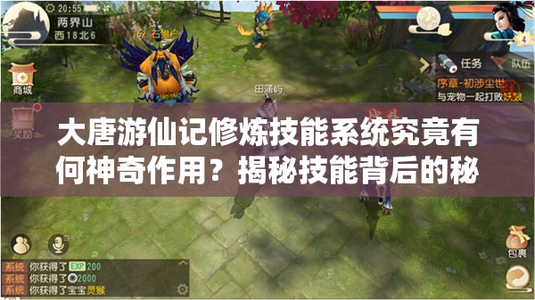 大唐游仙记修炼技能系统究竟有何神奇作用？揭秘技能背后的秘密！