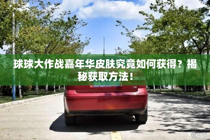 球球大作战嘉年华皮肤究竟如何获得？揭秘获取方法！