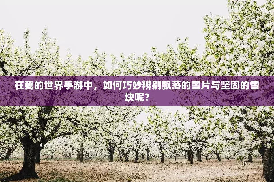 在我的世界手游中，如何巧妙辨别飘落的雪片与坚固的雪块呢？