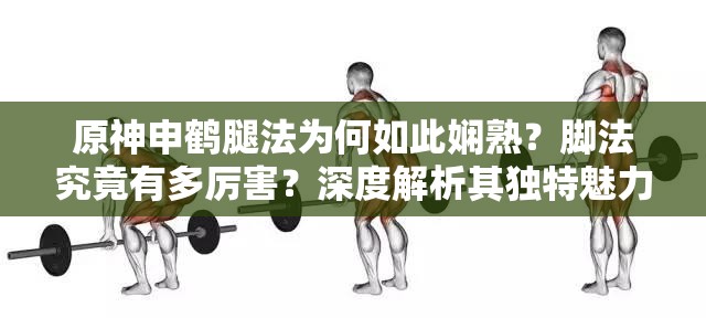 原神申鹤腿法为何如此娴熟？脚法究竟有多厉害？深度解析其独特魅力