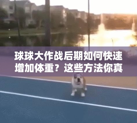 球球大作战后期如何快速增加体重？这些方法你真的知道吗？