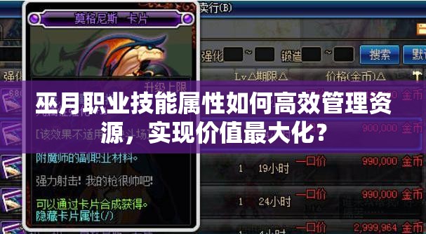 巫月职业技能属性如何高效管理资源，实现价值最大化？