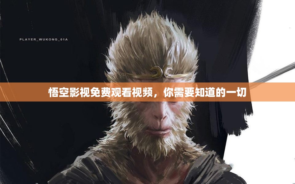 悟空影视免费观看视频，你需要知道的一切