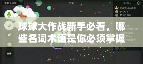 球球大作战新手必看，哪些名词术语是你必须掌握却还不了解的？