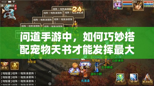 问道手游中，如何巧妙搭配宠物天书才能发挥最大战力？