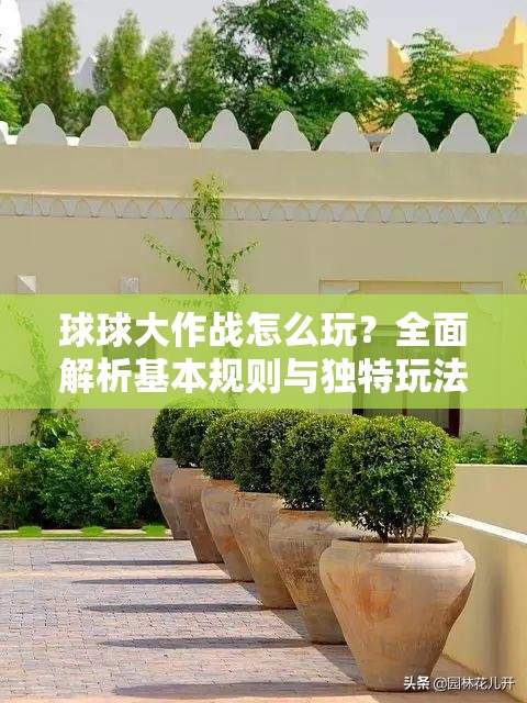 球球大作战怎么玩？全面解析基本规则与独特玩法揭秘！
