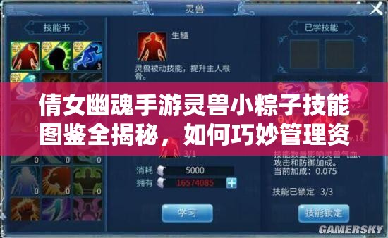倩女幽魂手游灵兽小粽子技能图鉴全揭秘，如何巧妙管理资源成关键？