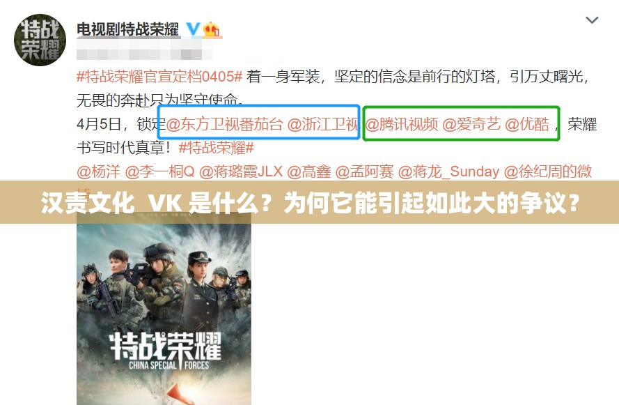 汉责文化  VK 是什么？为何它能引起如此大的争议？