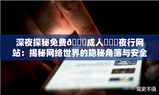 深夜探秘免费🔞成人❌❌❌夜行网站：揭秘网络世界的隐秘角落与安全指南
