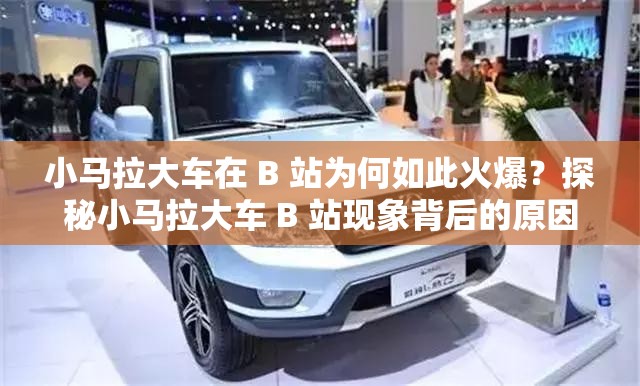 小马拉大车在 B 站为何如此火爆？探秘小马拉大车 B 站现象背后的原因