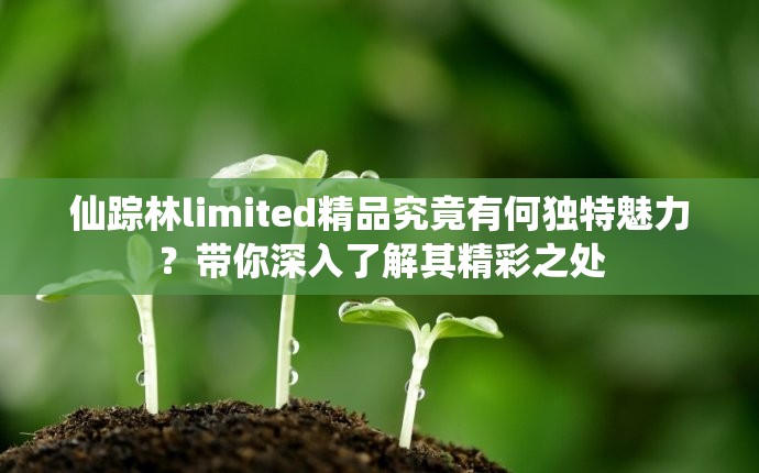 仙踪林limited精品究竟有何独特魅力？带你深入了解其精彩之处