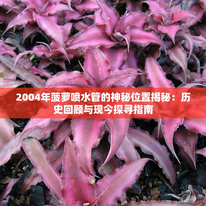 2004年菠萝喷水管的神秘位置揭秘：历史回顾与现今探寻指南