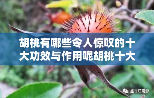 胡桃有哪些令人惊叹的十大功效与作用呢胡桃十大神奇功效与作用全揭秘探寻胡桃那十大不容忽视的功效与作用胡桃十大功效作用究竟是什么呢胡桃十大功效与作用究竟有多厉害胡桃十大功效与作用究竟蕴含着怎样的奥秘胡桃的十大功效与作用到底有哪些独特之处胡桃十大功效作用带来怎样的惊喜与不凡胡桃十大功效与作用究竟如何影响我们胡桃的十大功效与作用究竟有着怎样的魅力