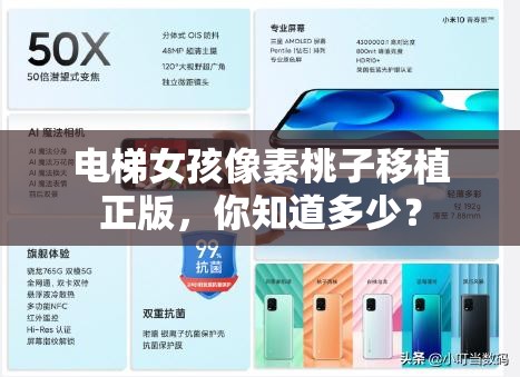 电梯女孩像素桃子移植正版，你知道多少？