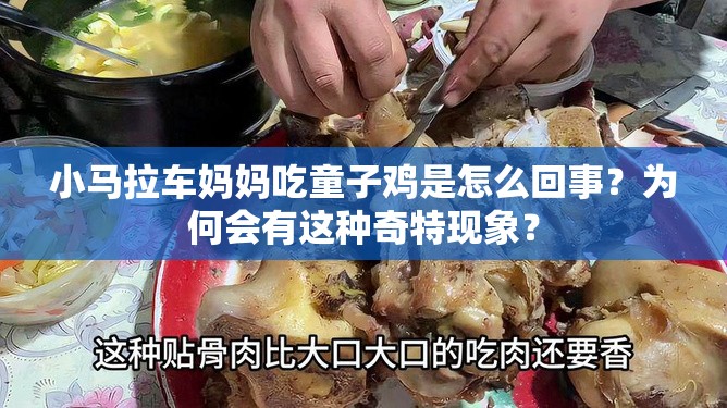 小马拉车妈妈吃童子鸡是怎么回事？为何会有这种奇特现象？