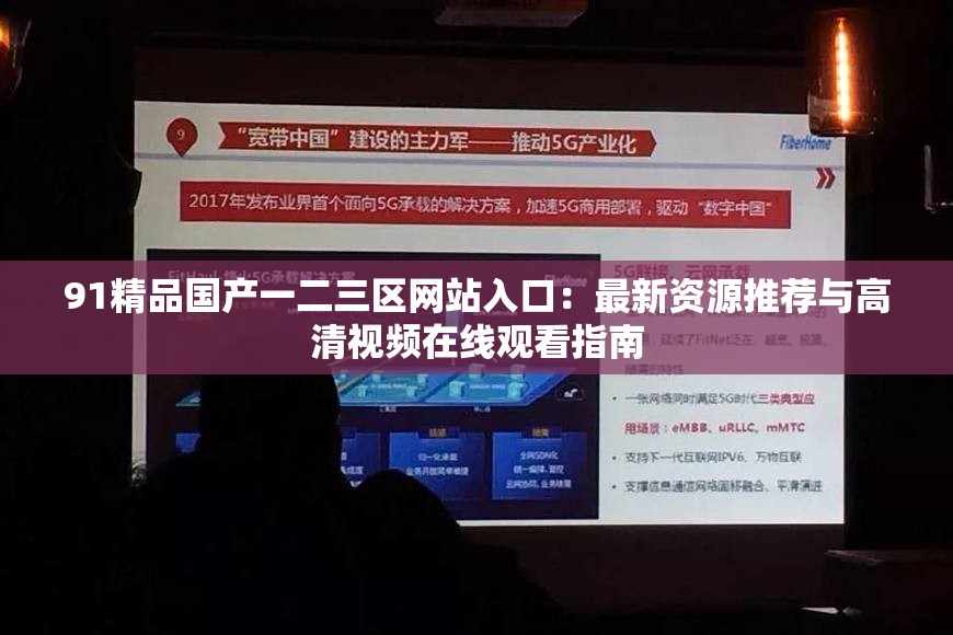 91精品国产一二三区网站入口：最新资源推荐与高清视频在线观看指南