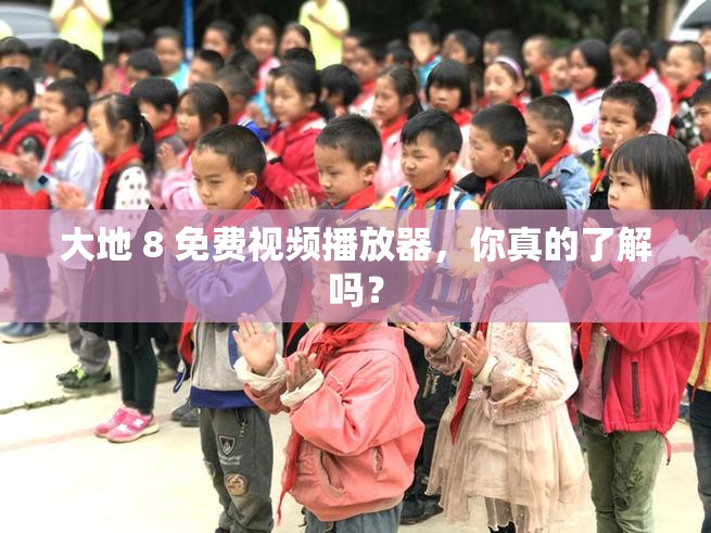 大地 8 免费视频播放器，你真的了解吗？
