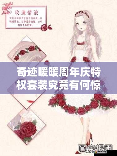 奇迹暖暖周年庆特权套装究竟有何惊喜？深度解析与独家揭秘来袭！