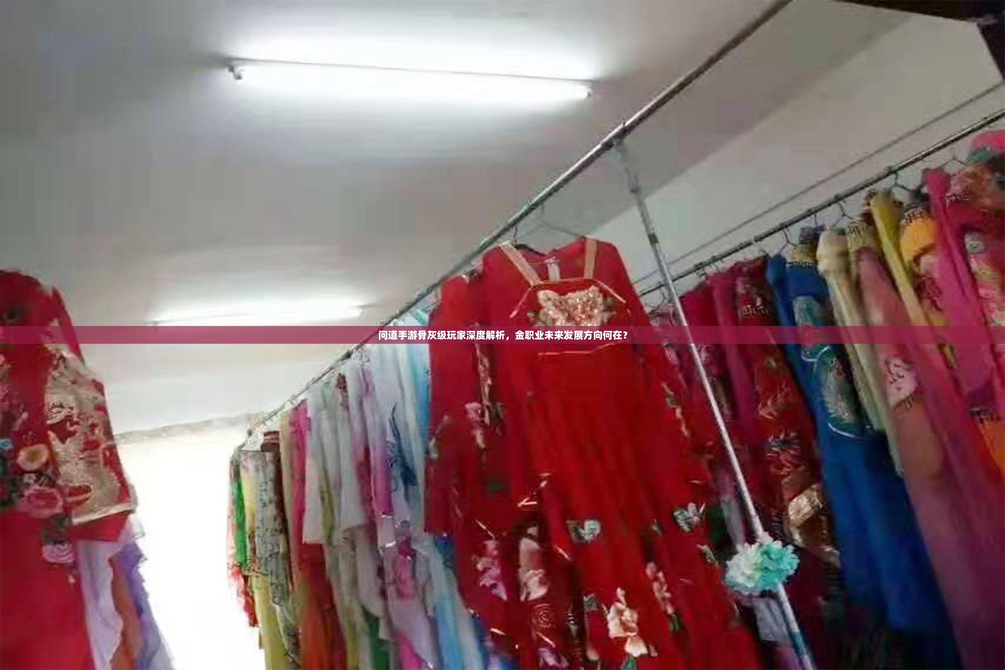 问道手游骨灰级玩家深度解析，金职业未来发展方向何在？