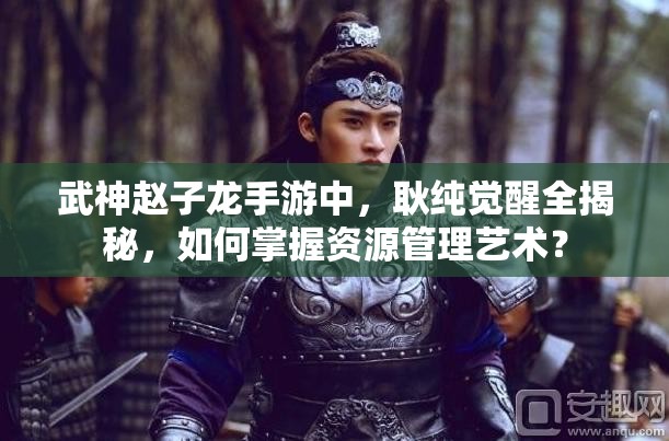 武神赵子龙手游中，耿纯觉醒全揭秘，如何掌握资源管理艺术？