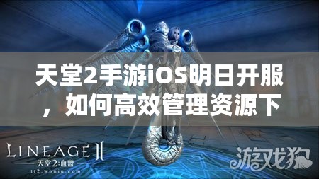 天堂2手游iOS明日开服，如何高效管理资源下载测试邀请成悬念？