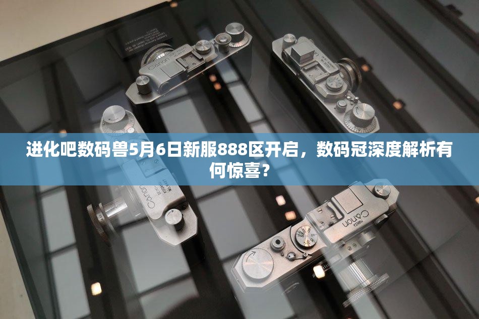 进化吧数码兽5月6日新服888区开启，数码冠深度解析有何惊喜？