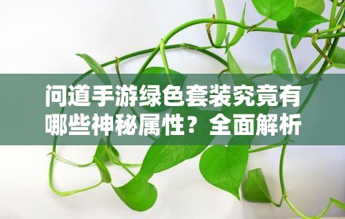 问道手游绿色套装究竟有哪些神秘属性？全面解析来了！