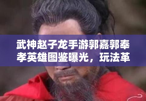 武神赵子龙手游郭嘉郭奉孝英雄图鉴曝光，玩法革命即将来临？