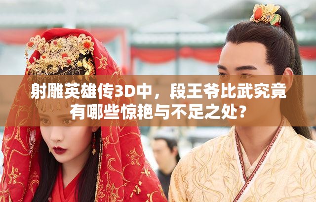 射雕英雄传3D中，段王爷比武究竟有哪些惊艳与不足之处？
