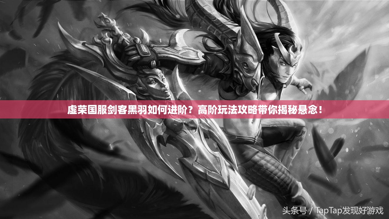 虚荣国服剑客黑羽如何进阶？高阶玩法攻略带你揭秘悬念！