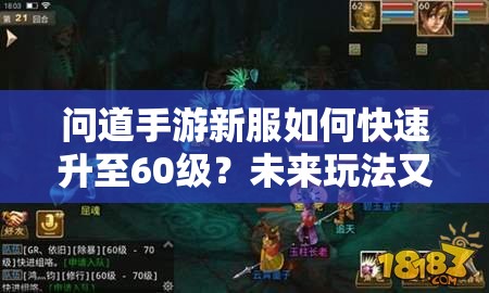 问道手游新服如何快速升至60级？未来玩法又有哪些革命性变化？