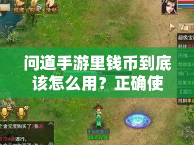 问道手游里钱币到底该怎么用？正确使用技巧大揭秘！