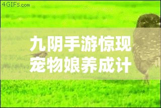 九阴手游惊现宠物娘养成计划？揭秘如何打造专属萌宠伴侣？