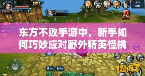 东方不败手游中，新手如何巧妙应对野外精英怪挑战？