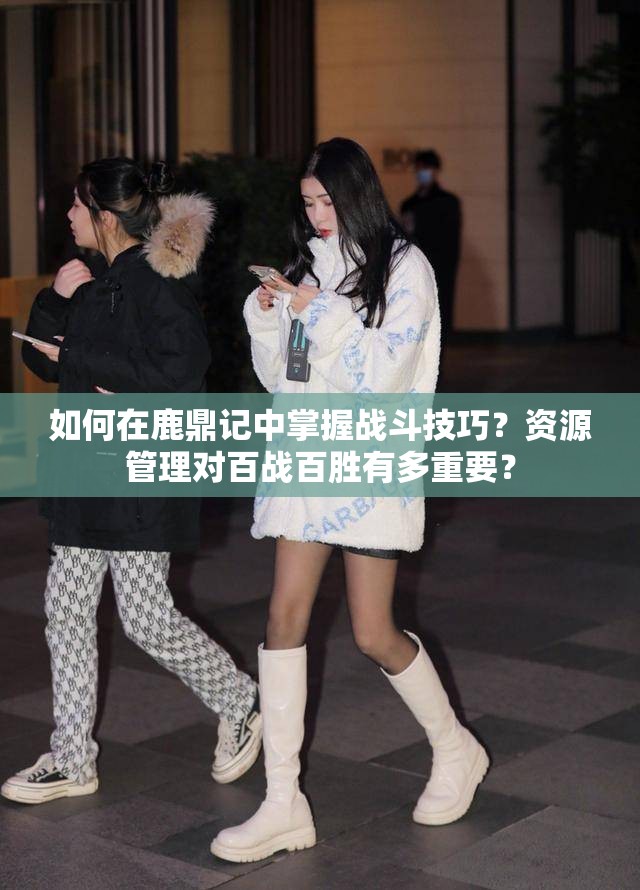 如何在鹿鼎记中掌握战斗技巧？资源管理对百战百胜有多重要？