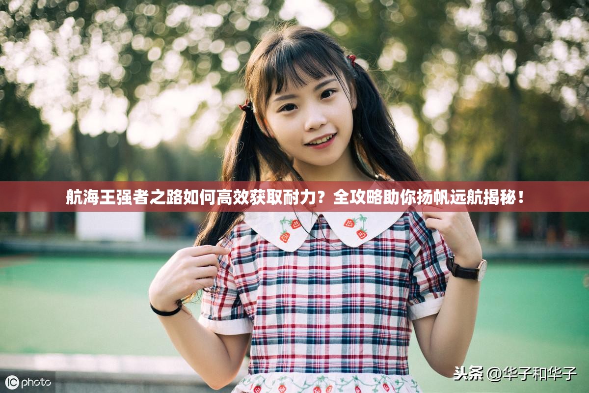 航海王强者之路如何高效获取耐力？全攻略助你扬帆远航揭秘！