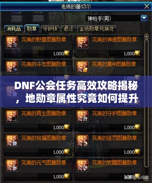 DNF公会任务高效攻略揭秘，地勋章属性究竟如何提升战力？