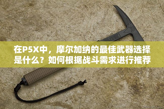 在P5X中，摩尔加纳的最佳武器选择是什么？如何根据战斗需求进行推荐？