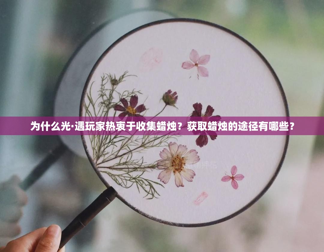 为什么光·遇玩家热衷于收集蜡烛？获取蜡烛的途径有哪些？