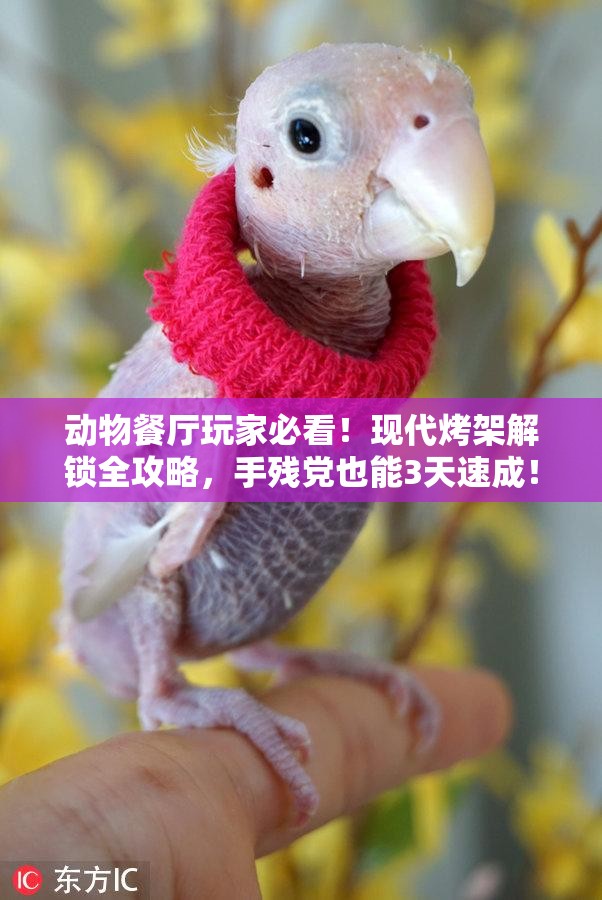 动物餐厅玩家必看！现代烤架解锁全攻略，手残党也能3天速成！