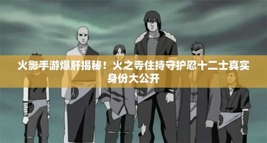 火影手游爆肝揭秘！火之寺住持守护忍十二士真实身份大公开